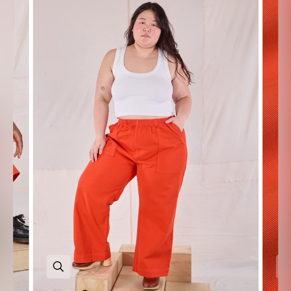 Big Bud Press Action Pant in Chile